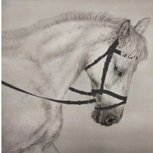 皮尺部大师头像