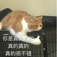心在北大荒頭像