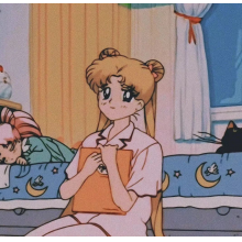 有一只猫????头像