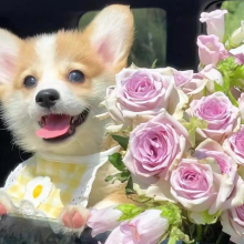 小汪搞设计头像