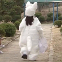 Here头像