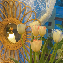 一万只哈哈哈头像