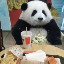 纯真已是无敌路头像