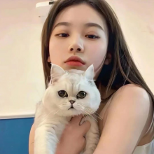 蓝莓小点心头像