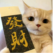 早早头像