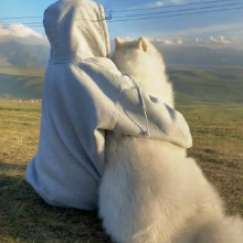 设计小天才头像