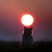 什么都不会的设计头像