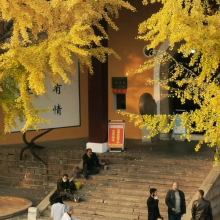 阿芙乐尔头像