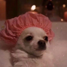 无聊小面包头像