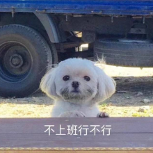 COOLCAI头像