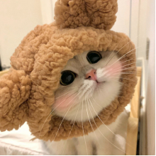 提莫大魔王头像