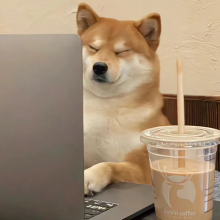 下辈子不干设计头像