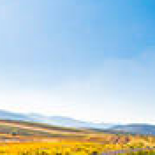 今天开始干房东头像