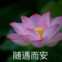 我要当老板头像