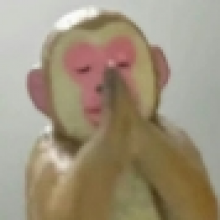 托比昂首挺胸头像