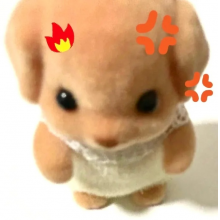 北鼻贝贝耶耶耶头像