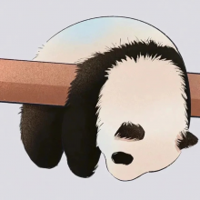 樱桃小丸犊子头像