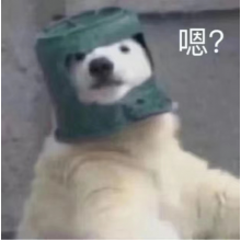 用力的设计.头像