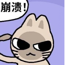一放工菊花都放松头像