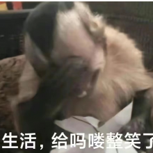 smilelikealion头像