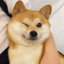 江江头像