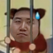 周儿 黄儿 正儿头像