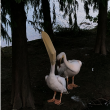 扎了个气球头像