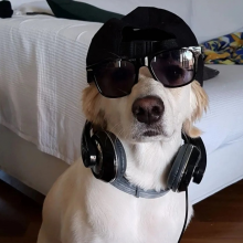 去冰不加糖头像