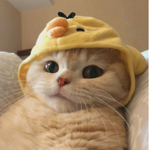 你管我叫啥头像