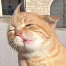 上刘头像