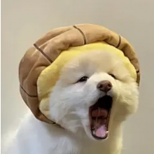 旺旺小仙贝头像