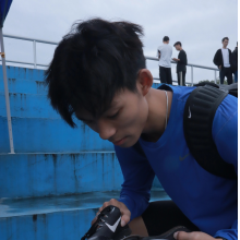 待在绿匣里的猫头像