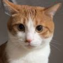 不努力就去死头像