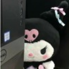 卷心菜菜籽头像