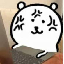 熊的设计头像