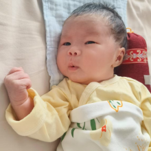 需要设计主页加V头像