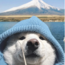 啃指甲大户头像
