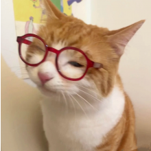 半夜合并你图层头像