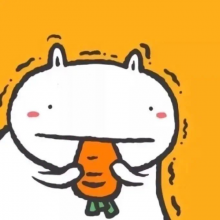 一坨兔子头像