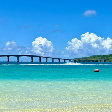 琥珀色旅行头像