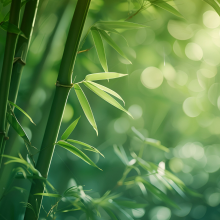 红红火火恍恍惚惚头像