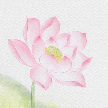 Ana头像