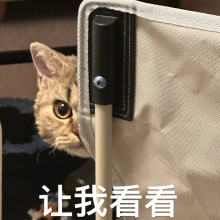 抱抱我头像