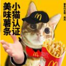 鸭子真好吃头像