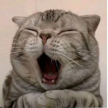 想想今天P点啥头像