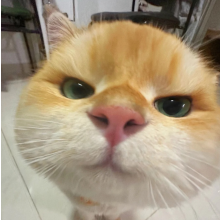 没力气的呆着头像