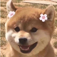 早点下班吧兄弟头像