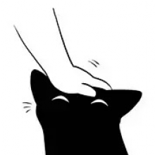 大猫.头像