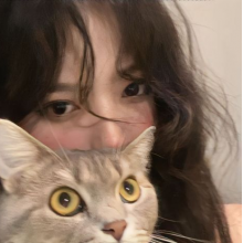 shelley头像