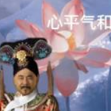 清茶头像